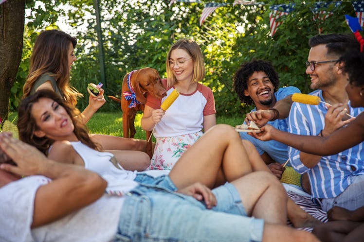 Friends celebrating July 4 use a 4th of July dog pun and dog quotes for the Fourth of July.