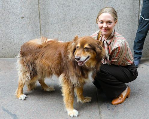 NEW YORK, NY - JULY 19: Amanda Seyfried is seen at the film set of "The Crowded Room" on July 19, 20...