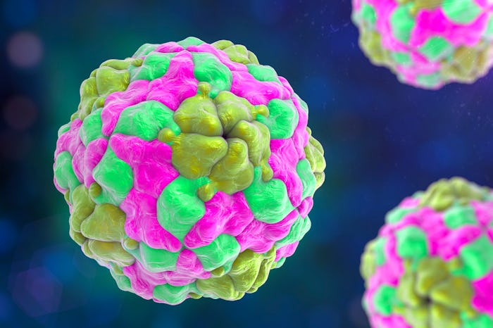 Parechoviruses, computer illustration. The CDC has issued a health alert to parents of young childre...