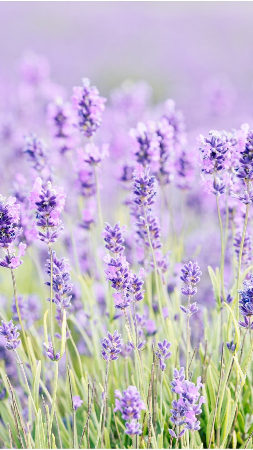 Photo taken in Snowshill, United Kingdom