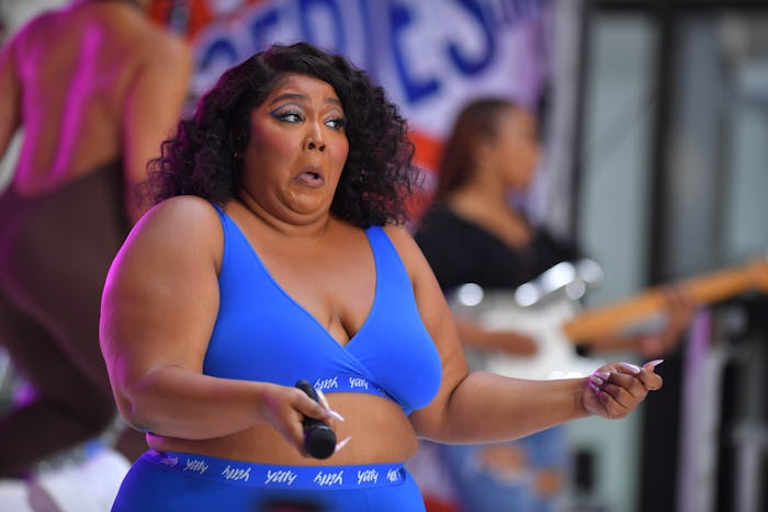 Lizzo says she and Rihanna used to have different chats before baby.