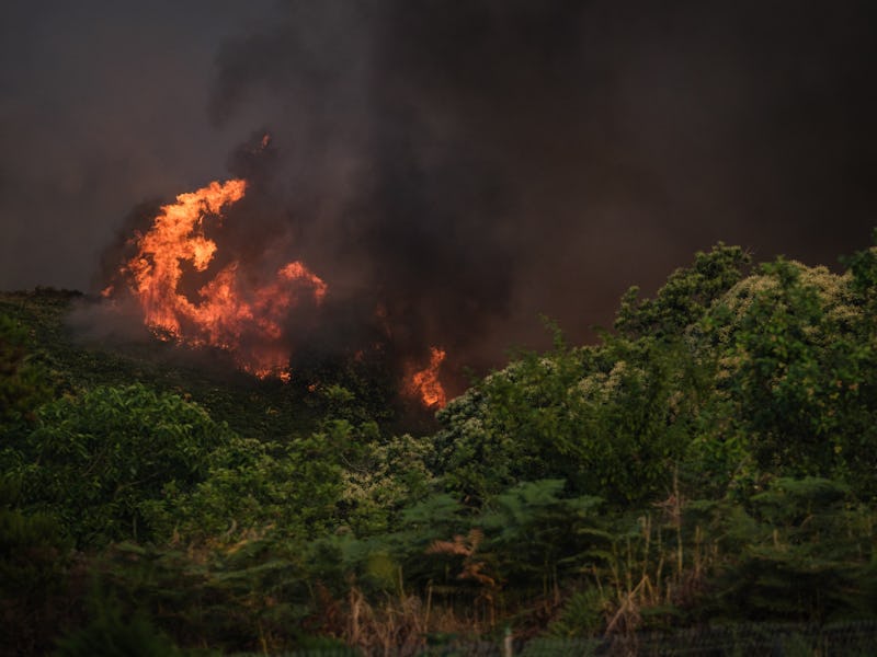 TENERIFE, SPAIN - JULY 21: Smoke and flames rises after a wildfire broke out in the island of Teneri...