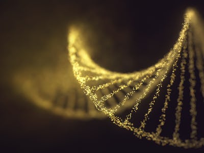 DNA damage, conceptual illustration.