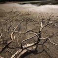 general view of dry Scheuermühlent pond in Cologne, Germany on July 26, 2022 as dry weather causes d...