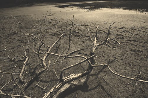 general view of dry Scheuermühlent pond in Cologne, Germany on July 26, 2022 as dry weather causes d...