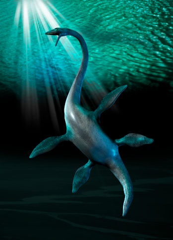 Plesiosaur, illustration.
