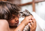 photo of a child with a kitten in an article about when is international cat day 2022