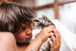 photo of a child with a kitten in an article about when is international cat day 2022