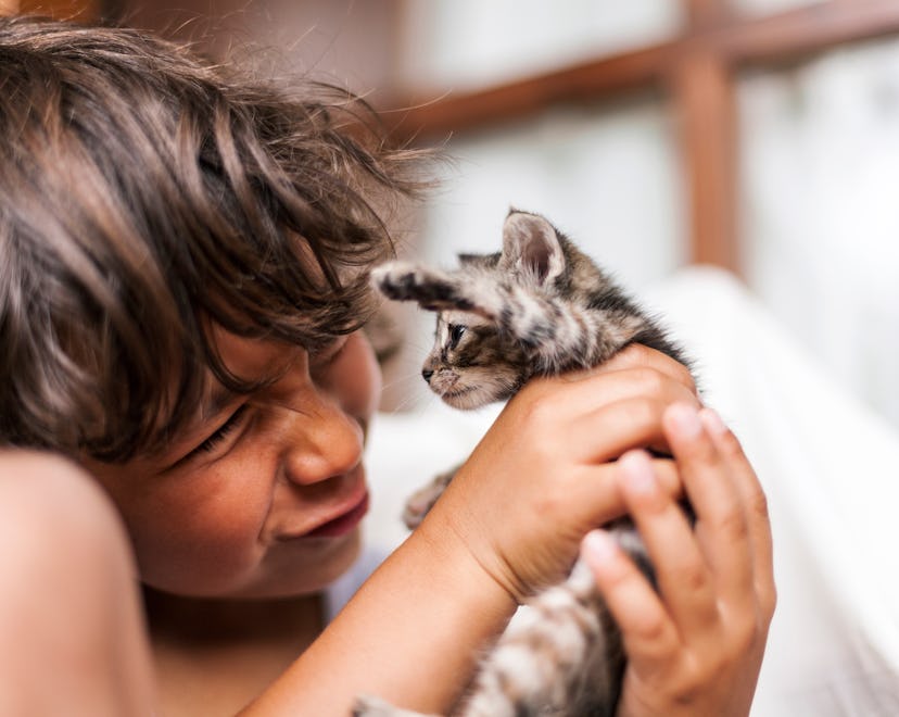 photo of a child with a kitten in an article about when is international cat day 2022