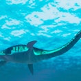 Artwork of a plesiosaurus. This extinct animal lends it name to an entire order of animals collectiv...