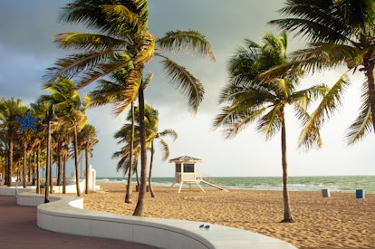 Las Olas Beach is a public beach along Ocean Boulevard and is a popular Fort Lauderdale beach, which...