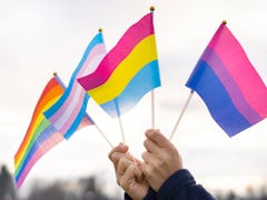Hands holding pride flags in the sky