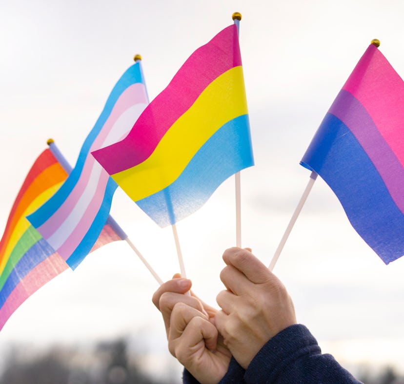 Hands holding pride flags in the sky
