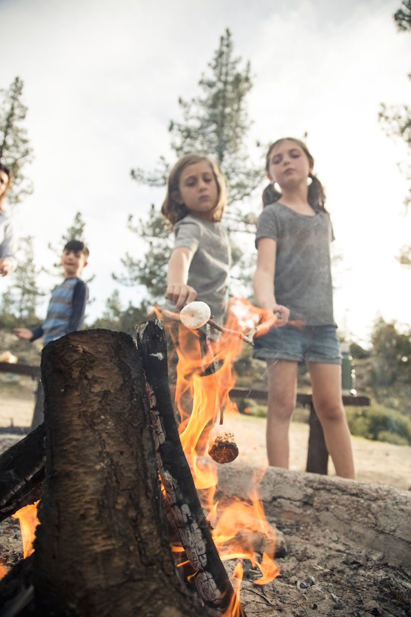 Two children roasting marshmallows over a campfire while another child looks on, last-minute summer ...