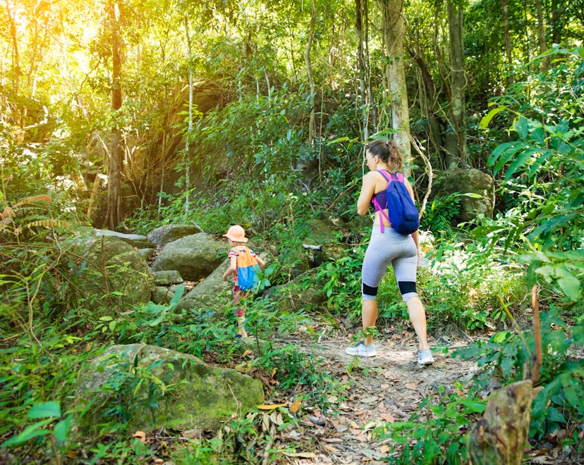 Woman and boy hiking in rainforest