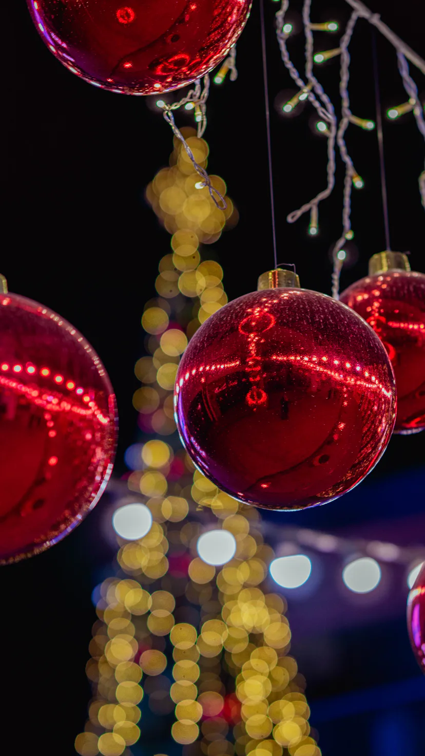 Christmas lights glow on a tree outside.