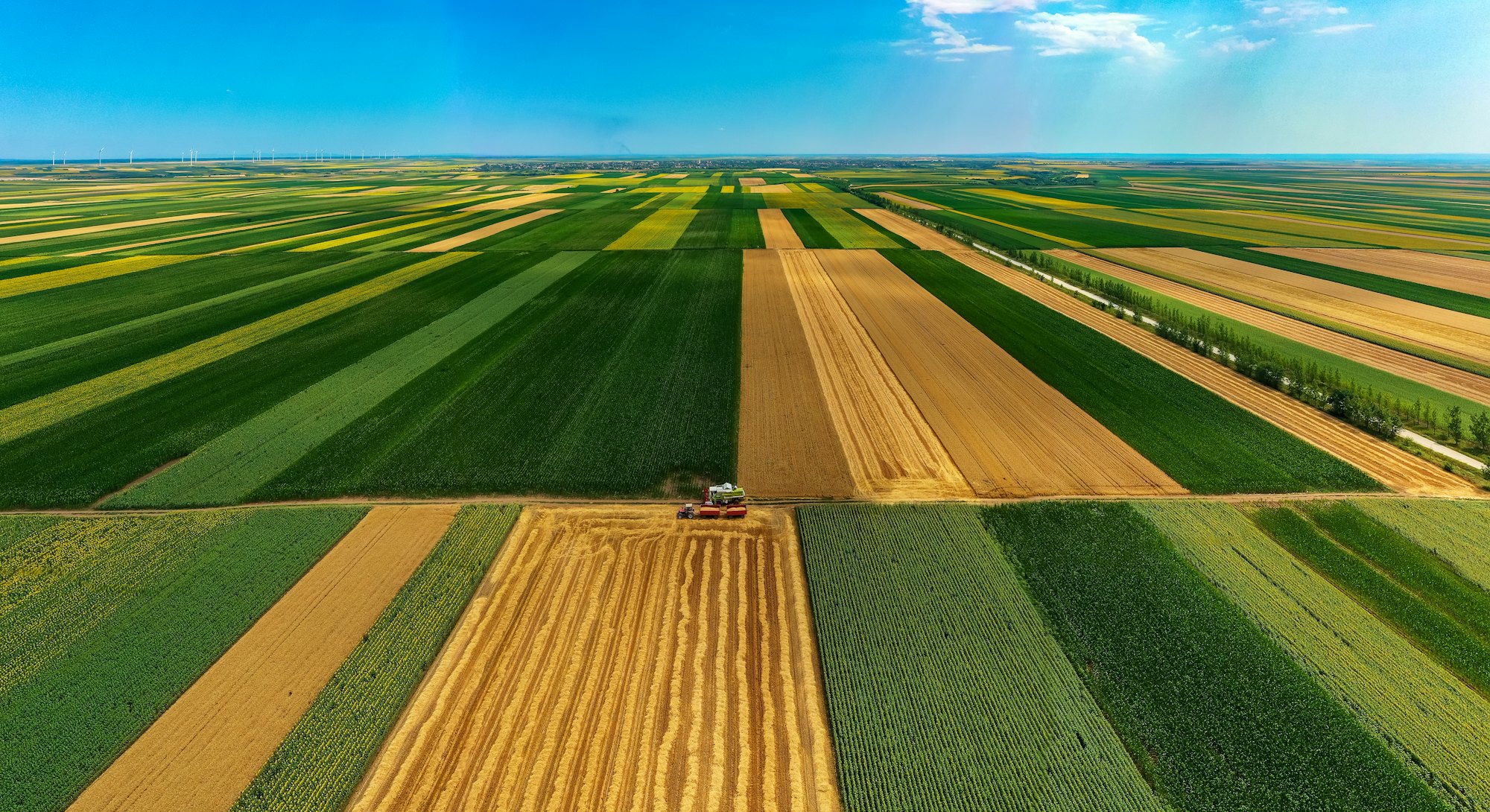 Harvesting In Agriculture Crop Field. Aerial point of view.  Drone photography
