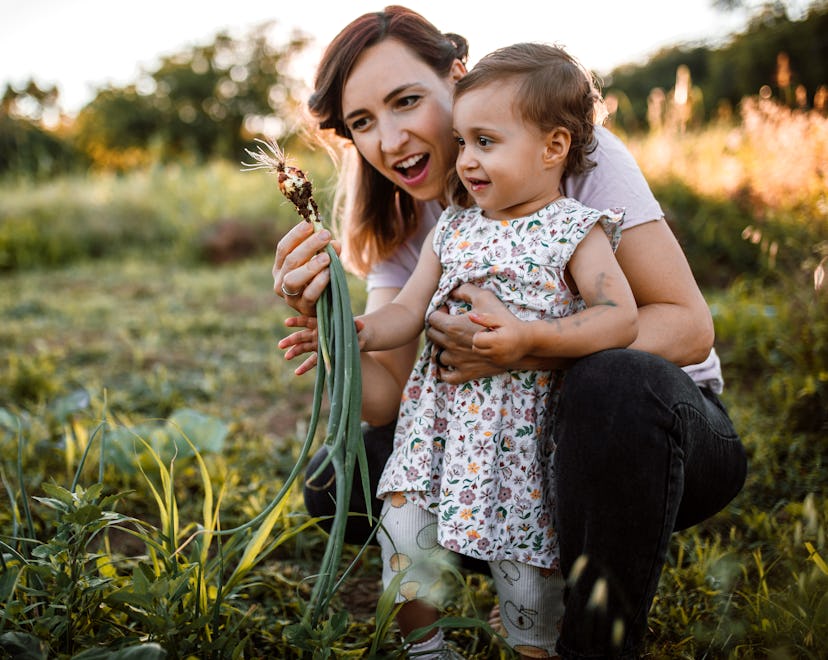 Having the right gardening tools can make planting and harvesting so much easier.