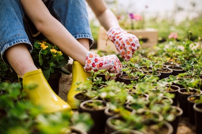 a  women gardening wearing gloves to garden safely while pregnant. 