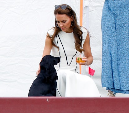 Kate Middleton brought Orla to a polo match.