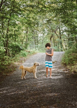 kid and dog in the forest, learning about lyme disease in dogs 
