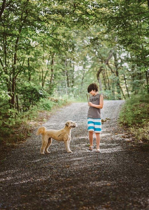 kid and dog in the forest, learning about lyme disease in dogs 