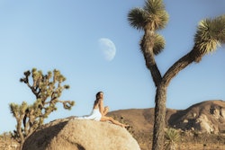 woman sitting on boulder in Joshua Tree desert underneath moon. Here's the spiritual meaning of the ...