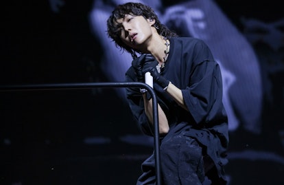 BTS' J-Hope Debuted New Grunge Style While Performing at Lollapalooza