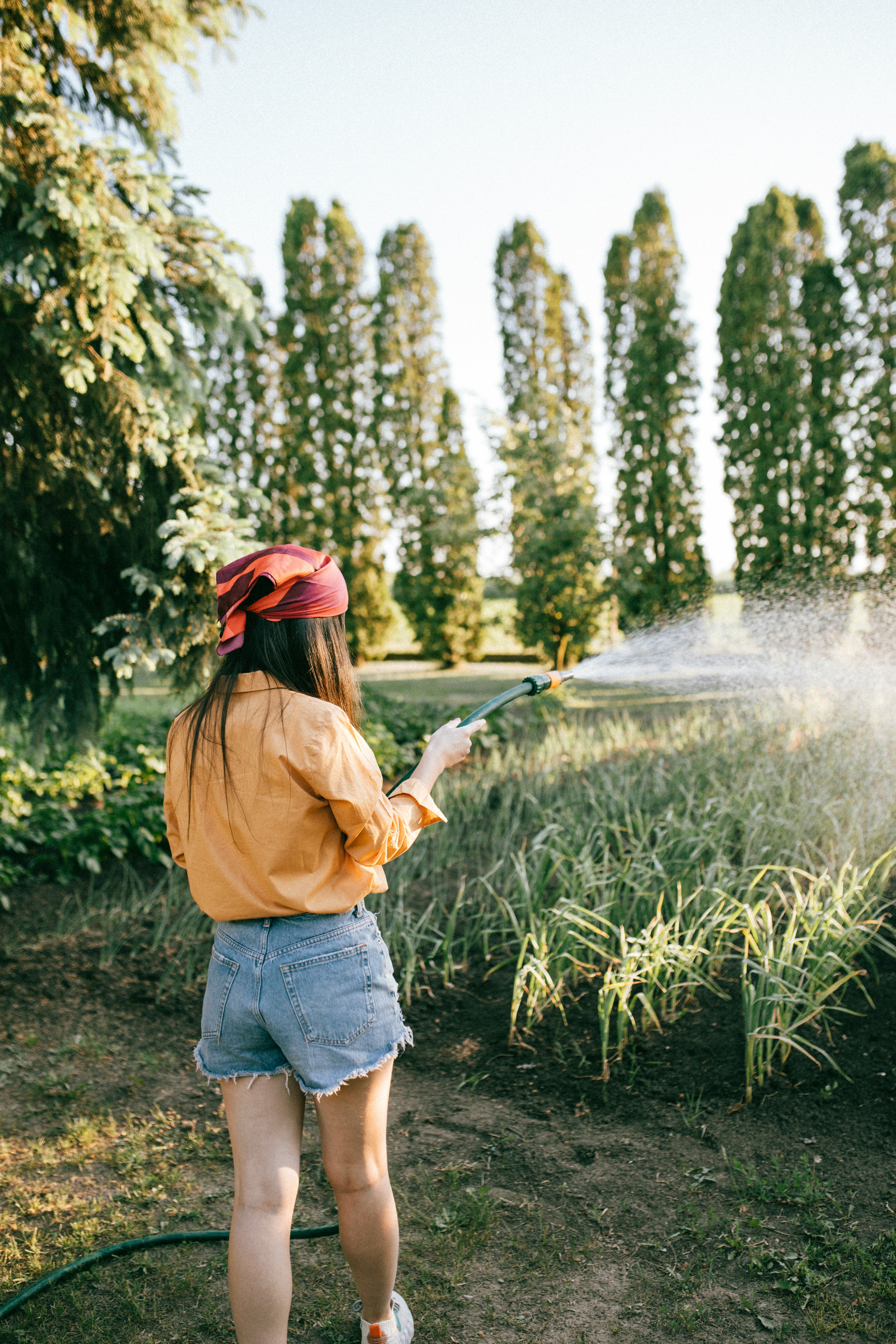 10 Game-Changing Late-Summer Gardening Tips