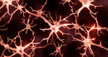 Networks of neurons in the human brain, which are vital for human intelligence.