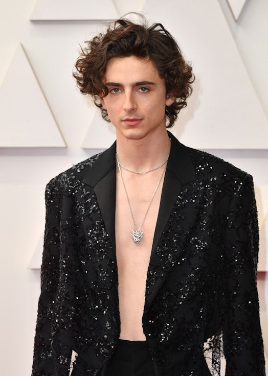 Timothee Chalamet rocks a surfer curtain hairstyle to the 94th Oscars in 2022.