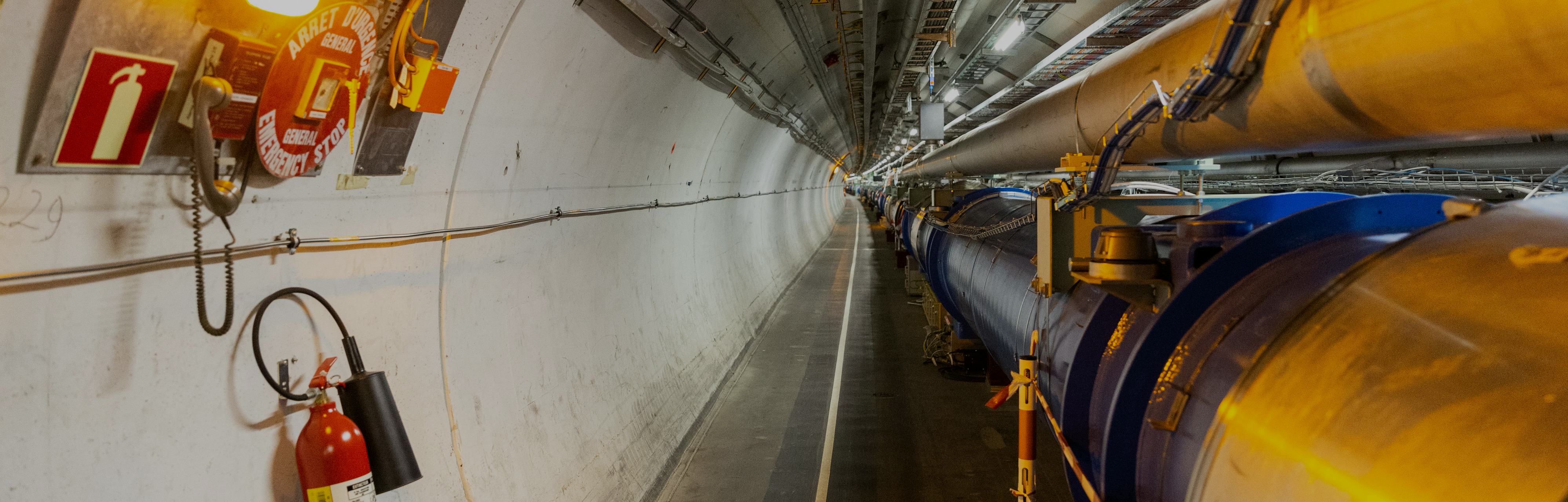 Scientists at CERN have discovered too many particles for physics to ...