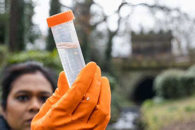 Poliovirus has been detected in the wastewater of NYC. Here, a differential focus of a female scient...