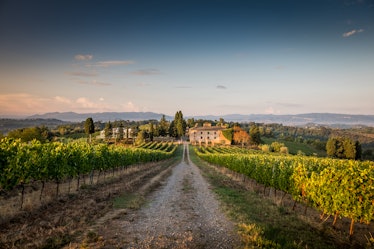 The Ultimate Wine Insiders Contest is offering a $100,000 prize and a worldwide vineyard trip to win...