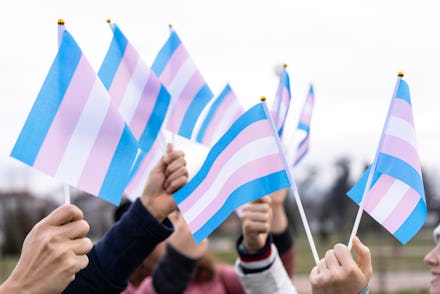 Group of people holding up blue, pink and white tansgender flags, high up in the air.