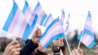 Group of people holding up blue, pink and white tansgender flags, high up in the air.