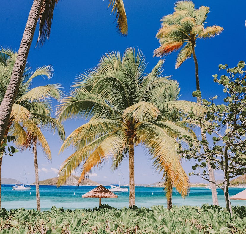 The British Virgin Islands are an alternative if you want to go to Hawaii for your bachelorette, but...
