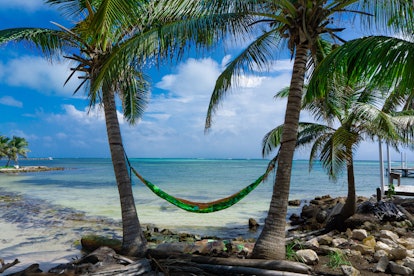 Belize is one of the Hawaiian bachelorette alternatives that you can plan to visit with palm trees a...