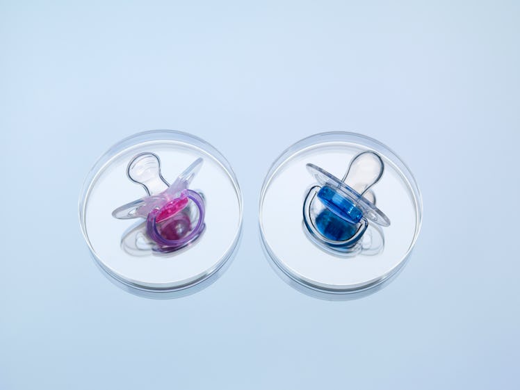 two pacifiers in petri dishes