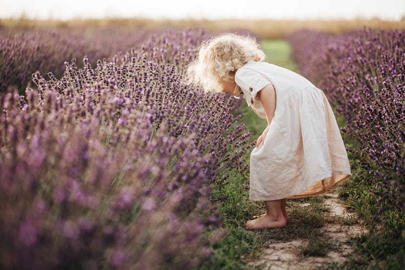 Lavender is a flower name for girls