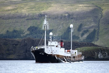 MIDSANDUR, ICELAND - AUGUST 06:  The harpoon ship Hvalur 9 is seen transporting two Fin whales on Hv...