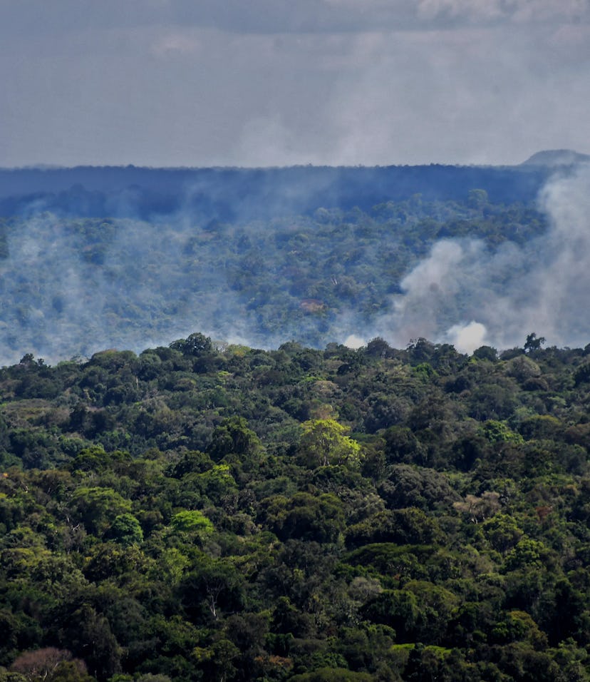 Aerial view showing smoke from a fire billowing from the Amazon rainforest in Oiapoque, Amapa state,...