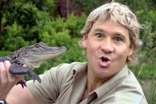 Steve Irwin holding an alligator