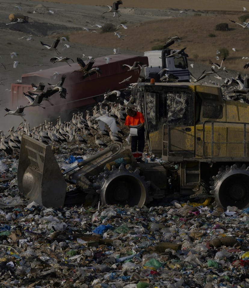 Hundreds of storks surround a truck at a landfill in the outskirts of Pinto near Madrid on July 14, ...