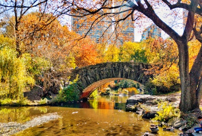 Central Park, New York City is one of the best places to see fall foliage in the US in 2022.