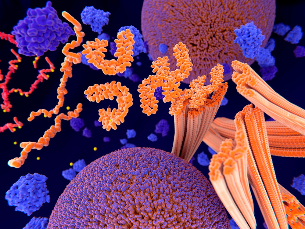 Tau protein in Alzheimer's disease, illustration. Pathological phosphorylation (yellow) of Tau prote...