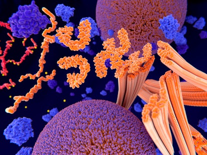 Tau protein in Alzheimer's disease, illustration. Pathological phosphorylation (yellow) of Tau prote...