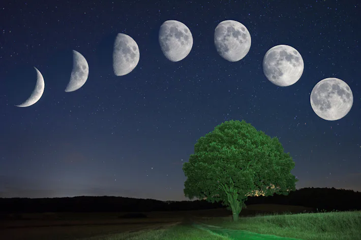Moon 710 You need to see the bright Harvest Moon in the sky this month