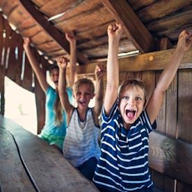 Three kids cheering inside of a tree house. Kids are aged 8 and 11.
