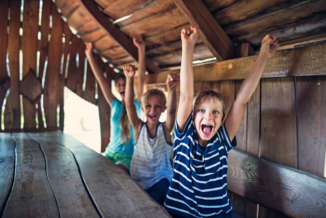 Three kids cheering inside of a tree house. Kids are aged 8 and 11.